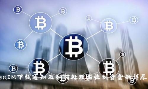 TokenIM下线通知及如何处理未收到资金的详尽指南