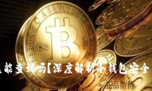 冷钱包被盗能查到吗？深度解析冷钱包安全与追踪问题