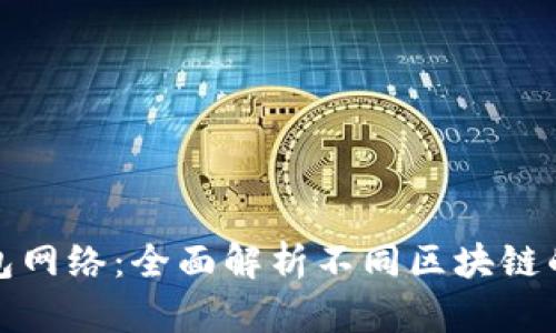 如何选择冷钱包网络：全面解析不同区块链的特点与适用性