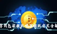 数字钱包能提现吗及提现方式全解析