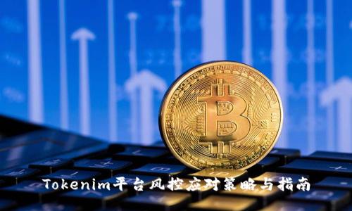 Tokenim平台风控应对策略与指南