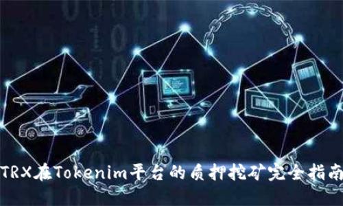 TRX在Tokenim平台的质押挖矿完全指南