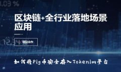 如何将Pig币安全存入Toke